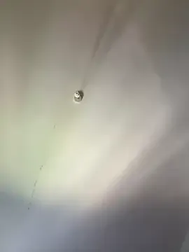 blissdimicco's Thumb Image